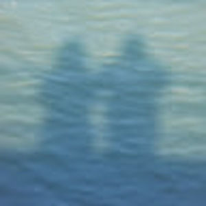 Meet your Posher, Bagheera